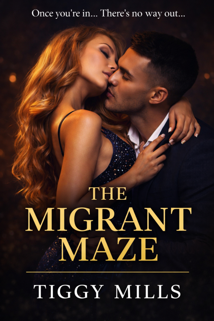 2 » The Migrant Maze: Once You’re In…There’s No Way Out… by Tiggy Mills – Complete Summary & Honest Review